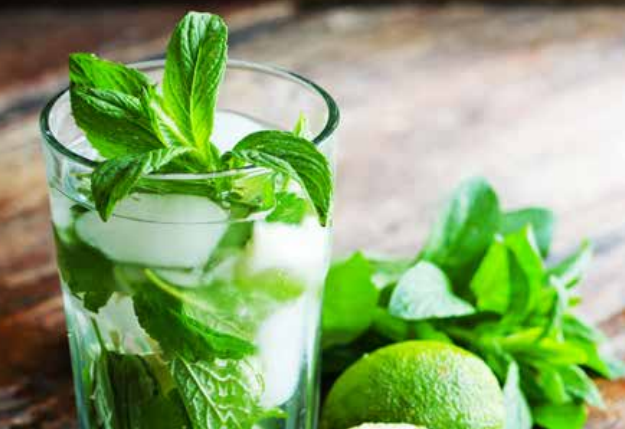 Recette de mojito léger