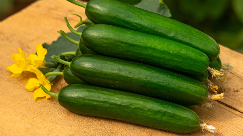 Les légumes de saison du mois de septembre