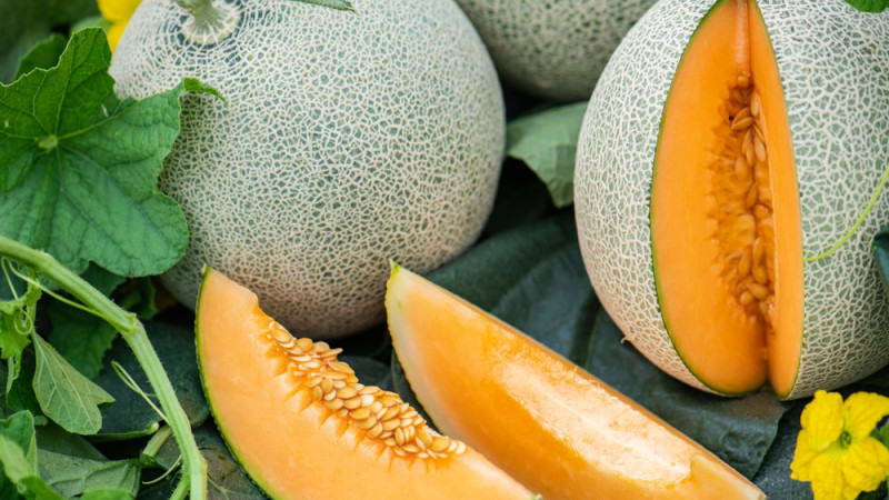 Les bienfaits du cantaloup : un fruit rafraîchissant et nutritif