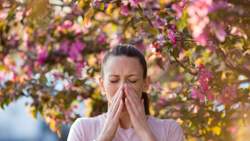 Tout savoir sur les allergies saisonnières