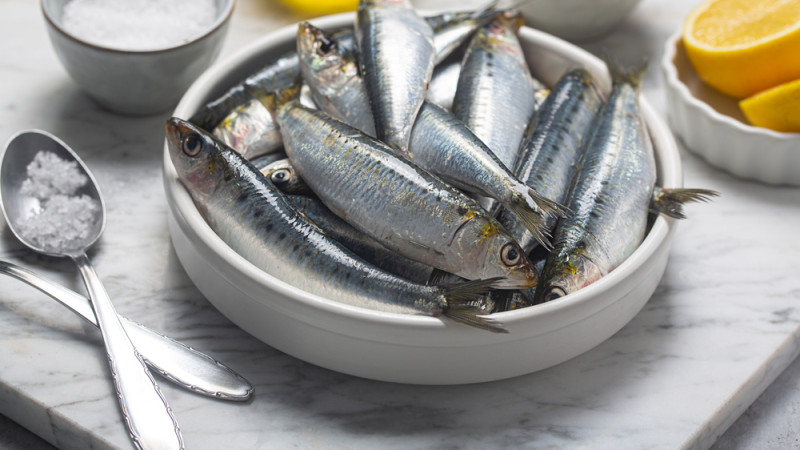 La sardine : secrets de santé et idées recettes faciles