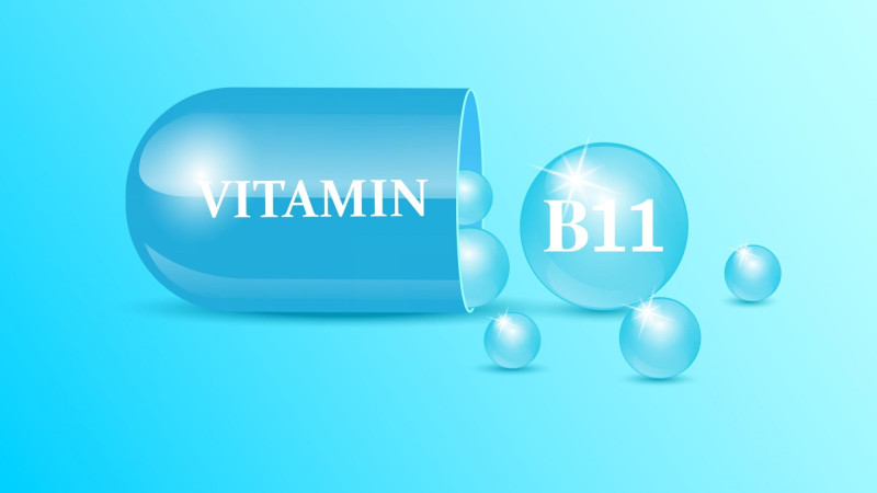 Les bienfaits de la vitamine B11