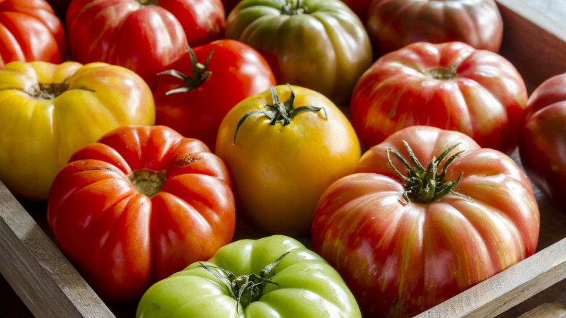 Que faire avec des tomates trop mûres ?