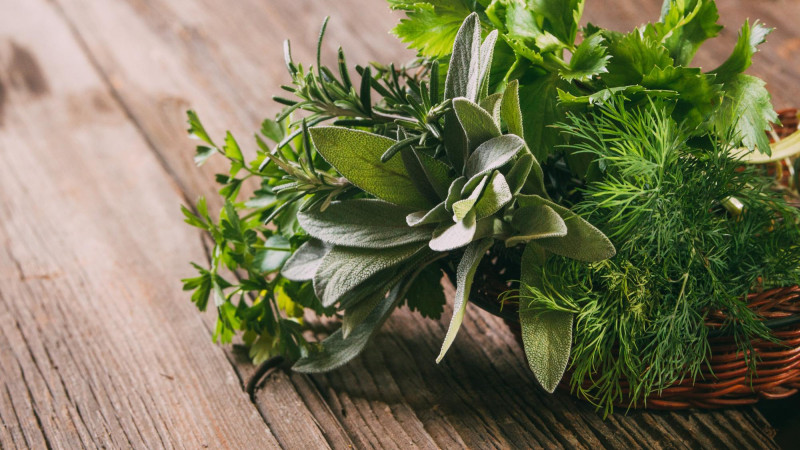 Les bienfaits des herbes aromatiques