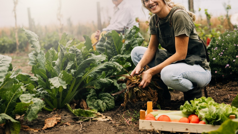 Comment bien entretenir son potager ?