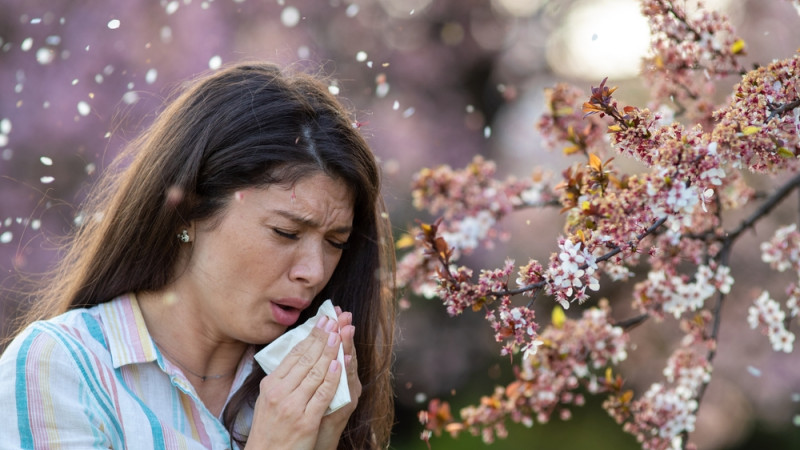 Allergies aux pollens : 5 conseils essentiels pour limiter les symptômes