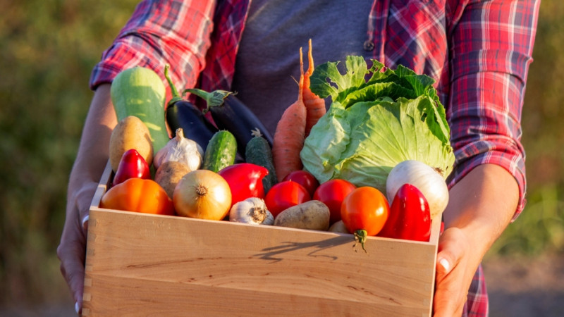 Comment la saisonnalité affecte-t-elle les habitudes alimentaires et le poids ?