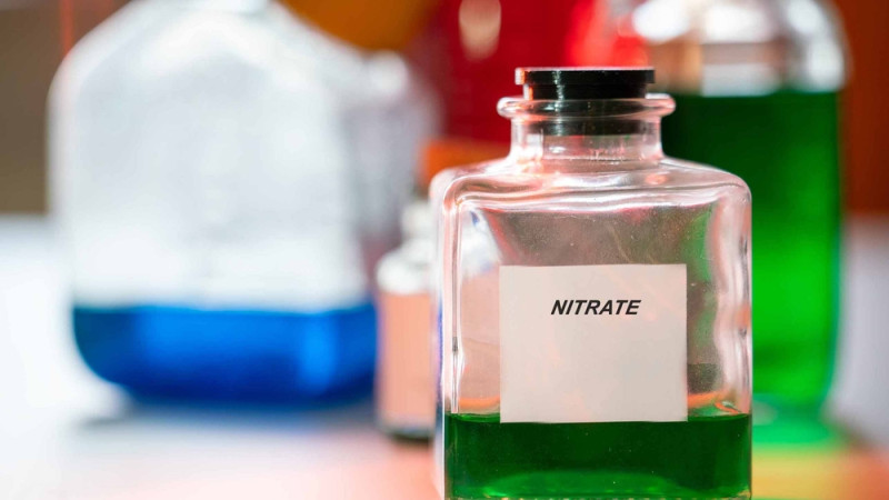 Pourquoi les nitrates sont-ils dangereux pour l'organisme ?