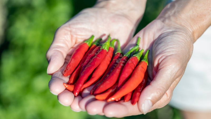 Les aliments qui provoquent le plus de brûlures d'estomac