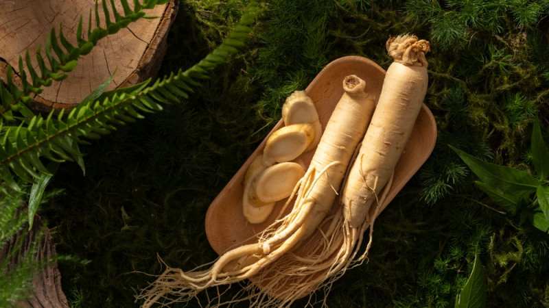 Les bienfaits du ginseng