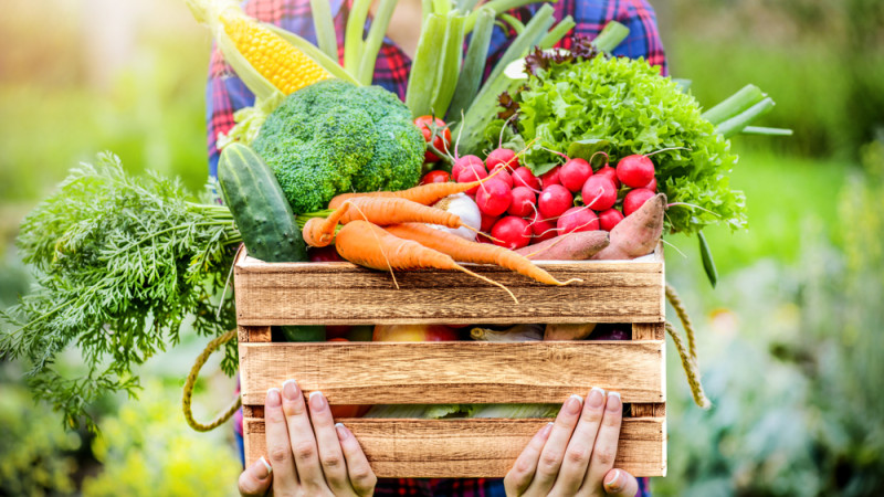 Peut-on manger la peau des fruits et des légumes sans craindre pour sa santé ?