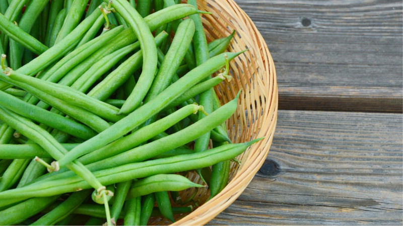 Bienfaits des haricots pour notre santé