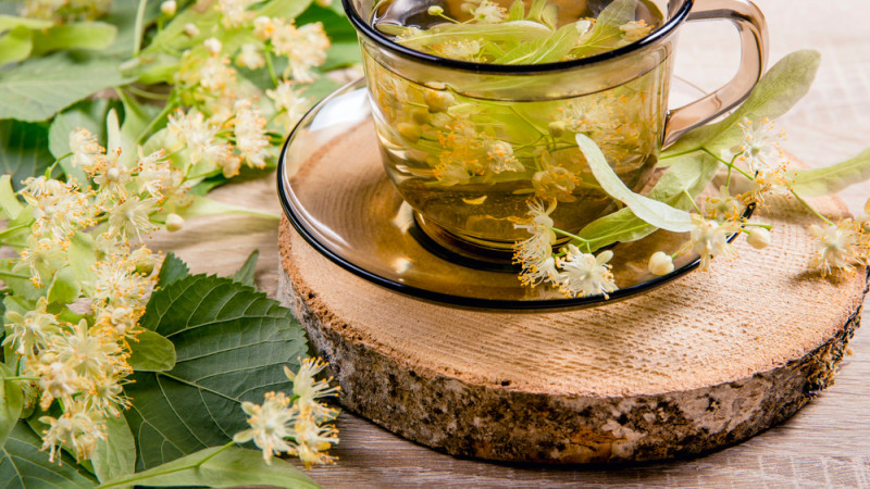 Quelle est la partie du tilleul à utiliser pour une tisane ? 