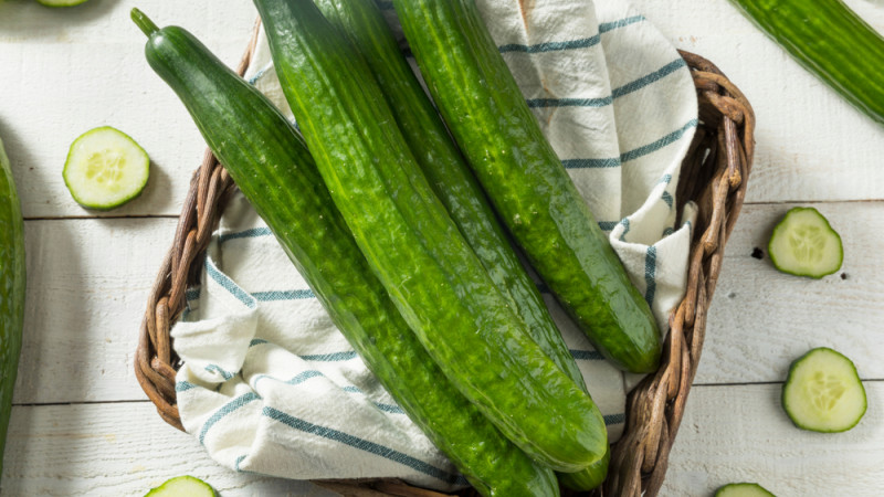 Le concombre : tout savoir sur ce légume vert aux bienfaits nutritionnels