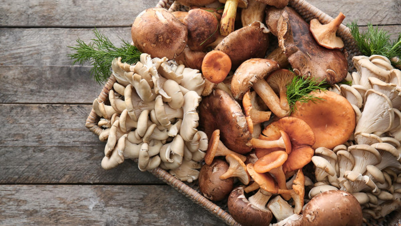 Les champignons et leurs bénéfices minceur