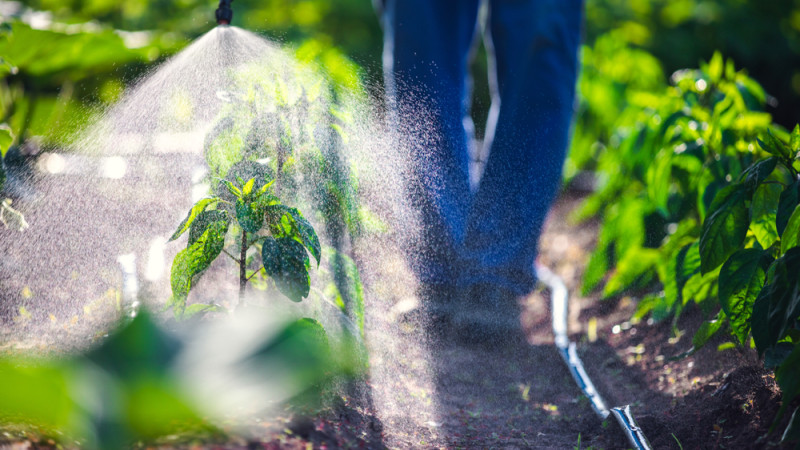 10 bonnes raisons d’arrêter de manger des pesticides