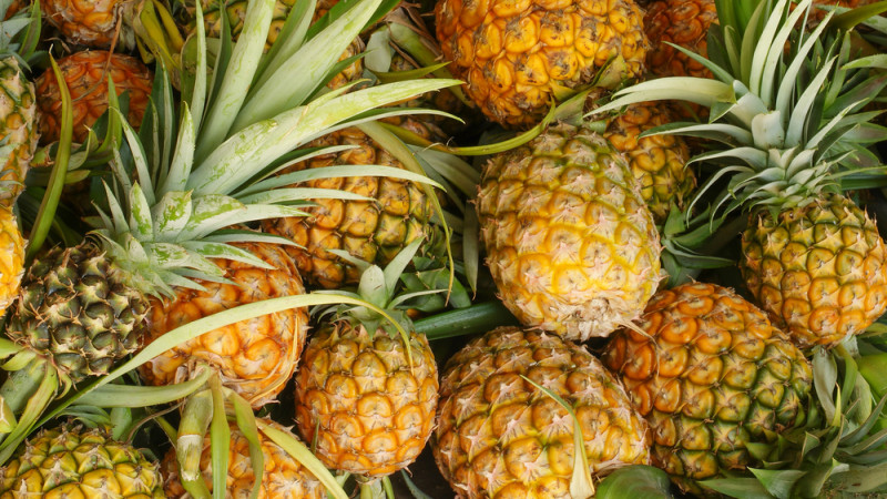 L'ananas : tout savoir sur les bienfaites de ce fruit 