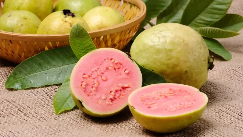 Goyave : un fruit tropical riche en saveurs et en bienfaits