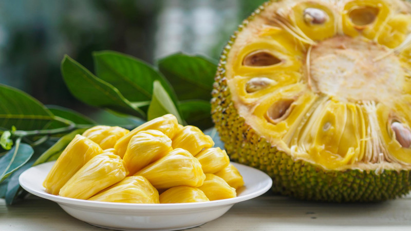 Le jackfruit ou fruit du jacquier : un superfruit tropical aux multiples facettes