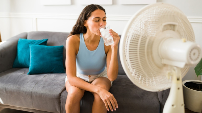 Lait, soda, eau pétillante, quelles boissons et quelle température privilégier en cas de fortes chaleurs ?