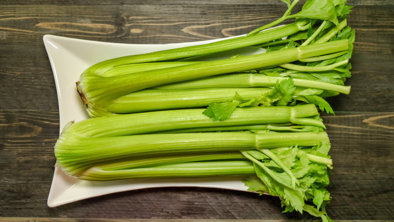 Le céleri branche : bienfaits, calories et utilisation en cuisine