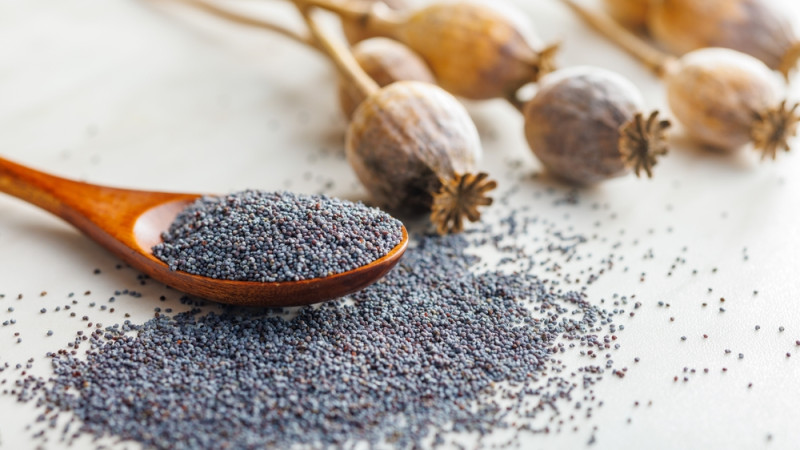 5 bonnes raisons de manger des graines de pavot