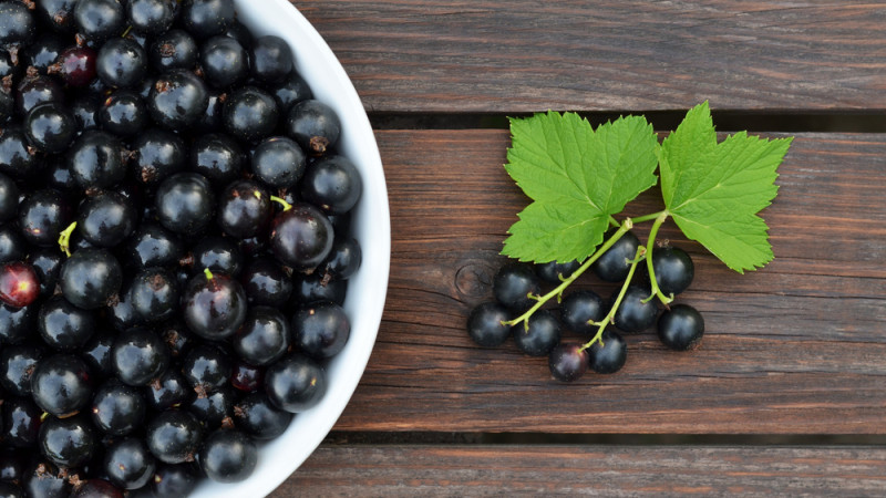 Quel est l'index glycémique du cassis ?