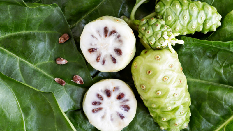 Quel est l’index glycémique du noni ?