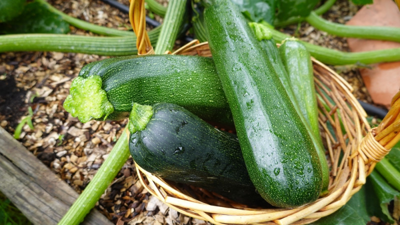 courgettes